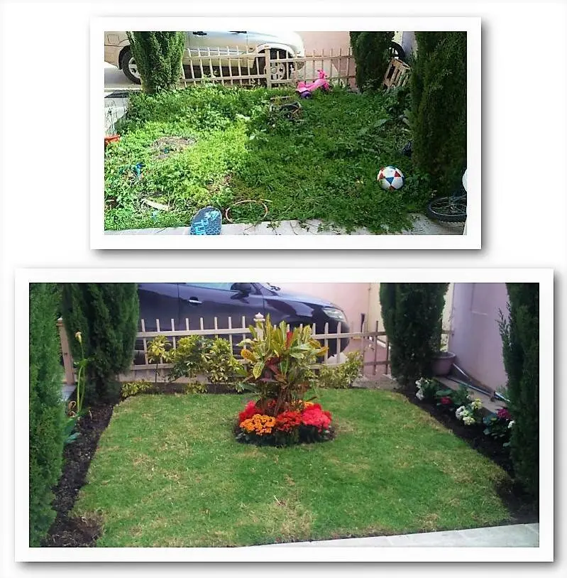 Jardinero ENRIQUEZ Cuenca - Ecuador jardinero a domicilio en cuenca servicio de jardineria jardinero cerca de mi donde contrarar un jardinero en cuenca jardinero recomendado por google el mejor jardinero en cuenca servicio de jadineria a domicilio